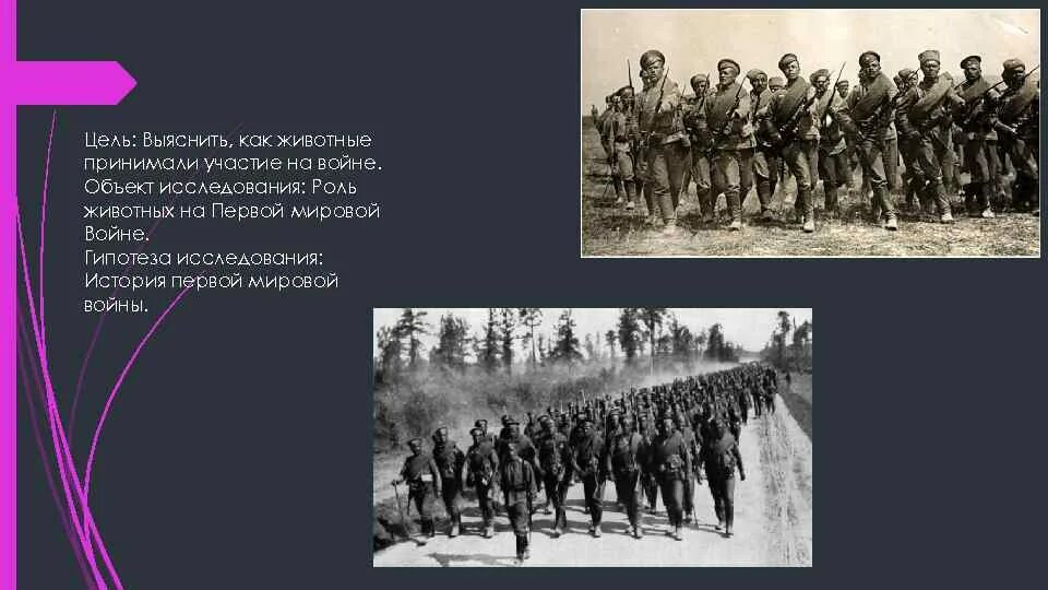 Гипотезы войны. Гипотеза в проекте про войну. Гипотеза проекта про первую мировую войну. Гипотеза проекта животные на войне. Опрос по первой мировой войне.