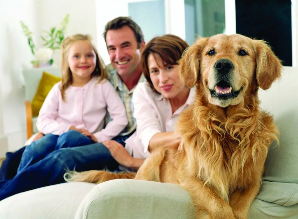 Having pets at home. Семья с питомцами. Счастливая семья с собакой. Собаки для семьи с детьми.