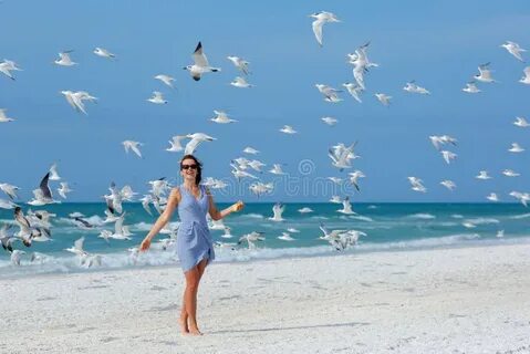 Кто такие чайки девушки
