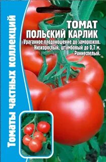 Помидоры карлик описание сорта фото отзывы