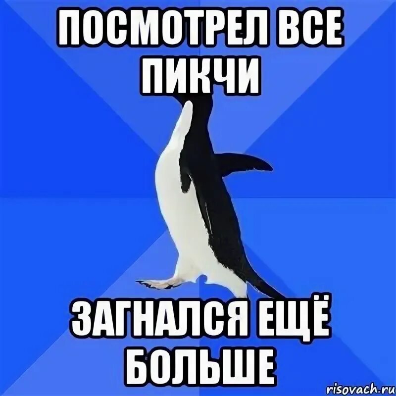 Дорогая сегодня загнался. Пингвин социофоб. Мем Пингвин социофоб. Мем социально неуклюжий Пингвин. Загнался Мем.