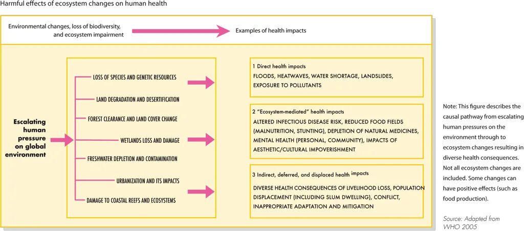 The Impact of the environment on Human Health. Health Effects of changing environment. Changes in the environment.