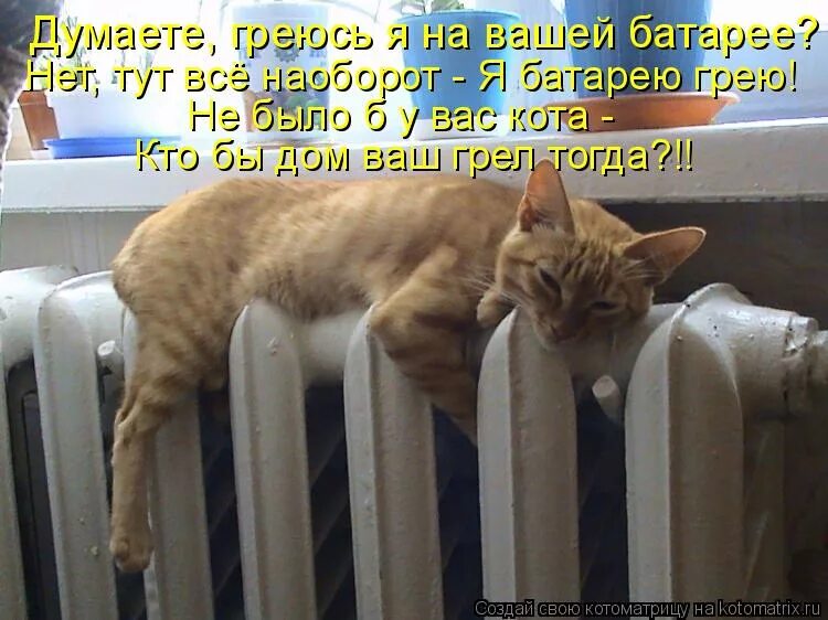 Кот на батарее. Смешной кот на батарее. Рыжий кот на батарее. Котенок на батарее. Никуда не спрятаться