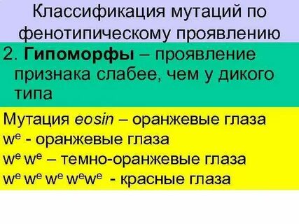 Мутации виды фенотипические проявления