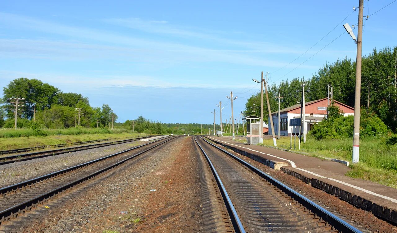 Станция Ваулово. Станция Пиняги. Станция Торопово Рыбинск. Рыбинск товарный станция.