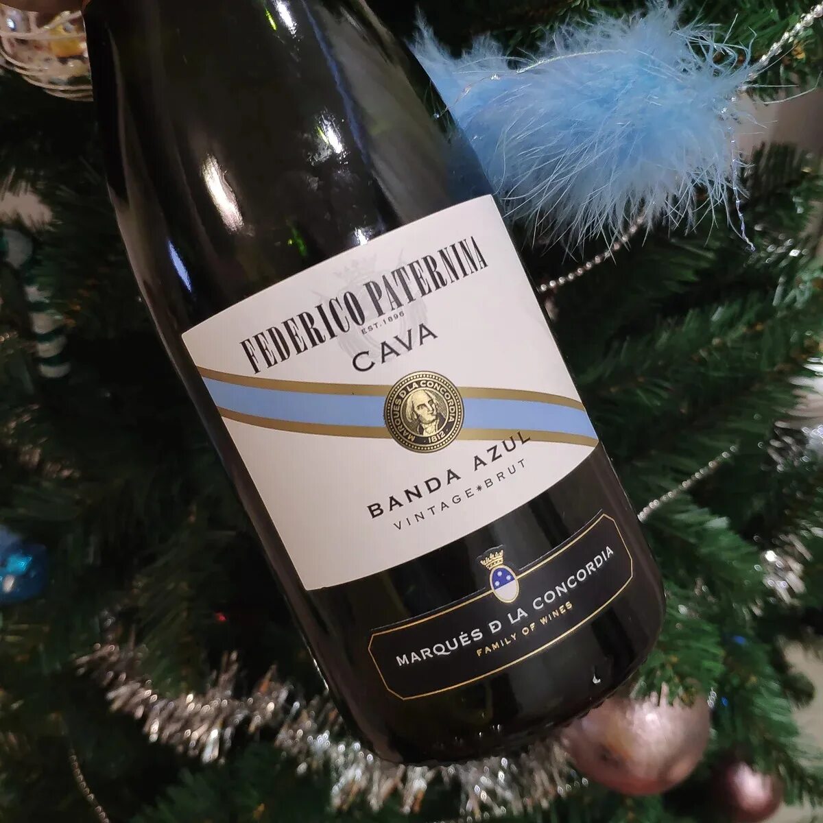 Шампанское федерико. Боско классика шампанское. Шампанское аллегро. Шампанское федерико. Шампанское кава federico paternina.