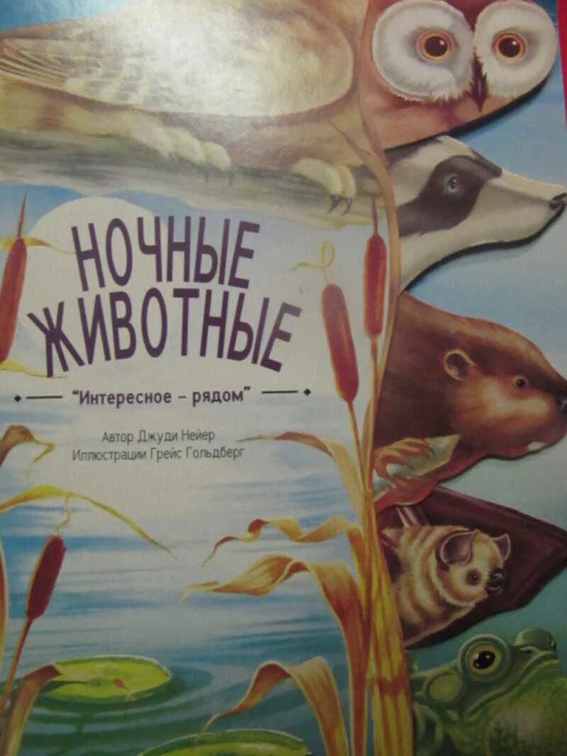 Спасая животных книга. Книга ночные животные. книга обитатели ночи. ночные животные книга для детей. роман «ночные животные».