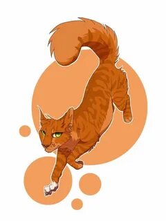 Коты воители белке