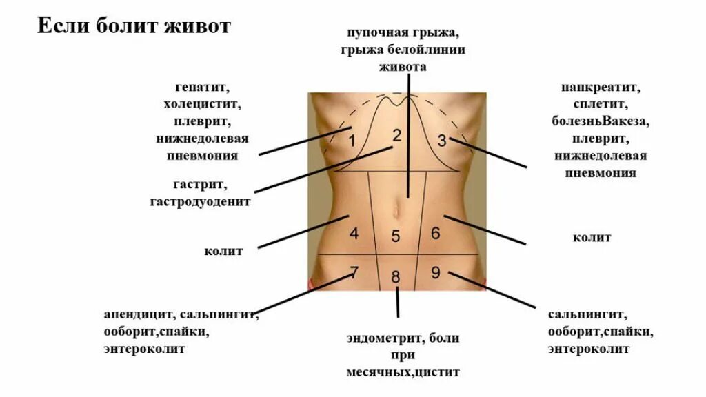 Боль ниже живота у женщин причины