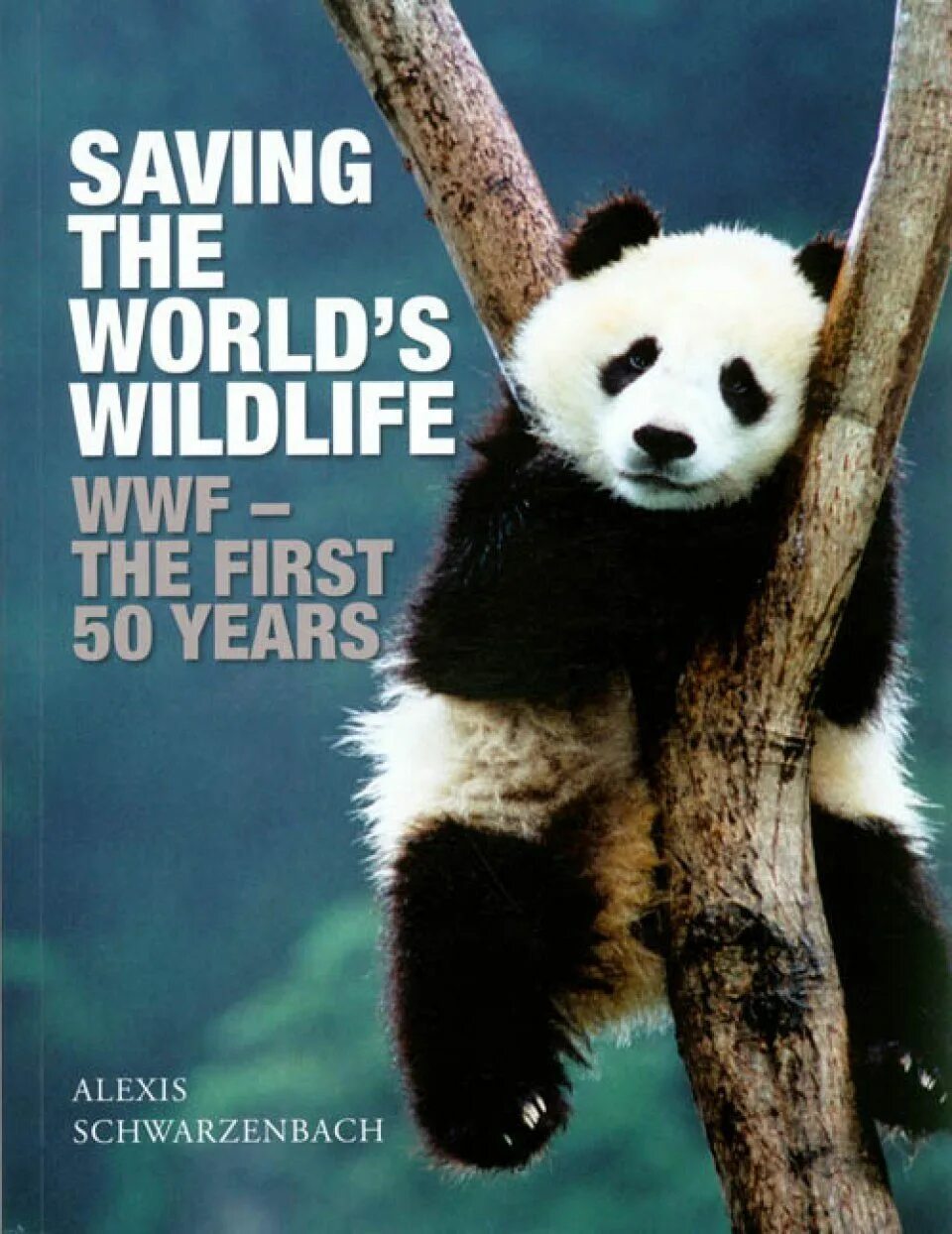 The world wildlife fund is. Всемирный фонд дикой природы WWF России. Игрушки WWF World Wildlife. Праздник белой панды. WWF Панда фото.