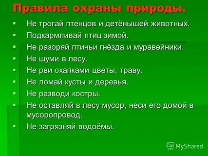 Проект по окружающему миру 4 класс охрана природы в нашем крае