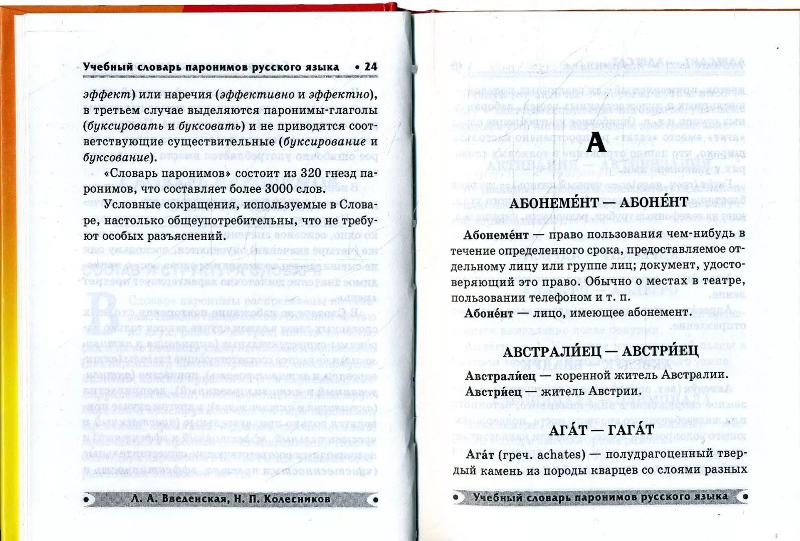 Словарь паронимов русского языка н п Колесникова. Учебный словарь паронимов русского языка. Учебный словарь паронимов. Словарь паронимов русского языка. Книга паронимов