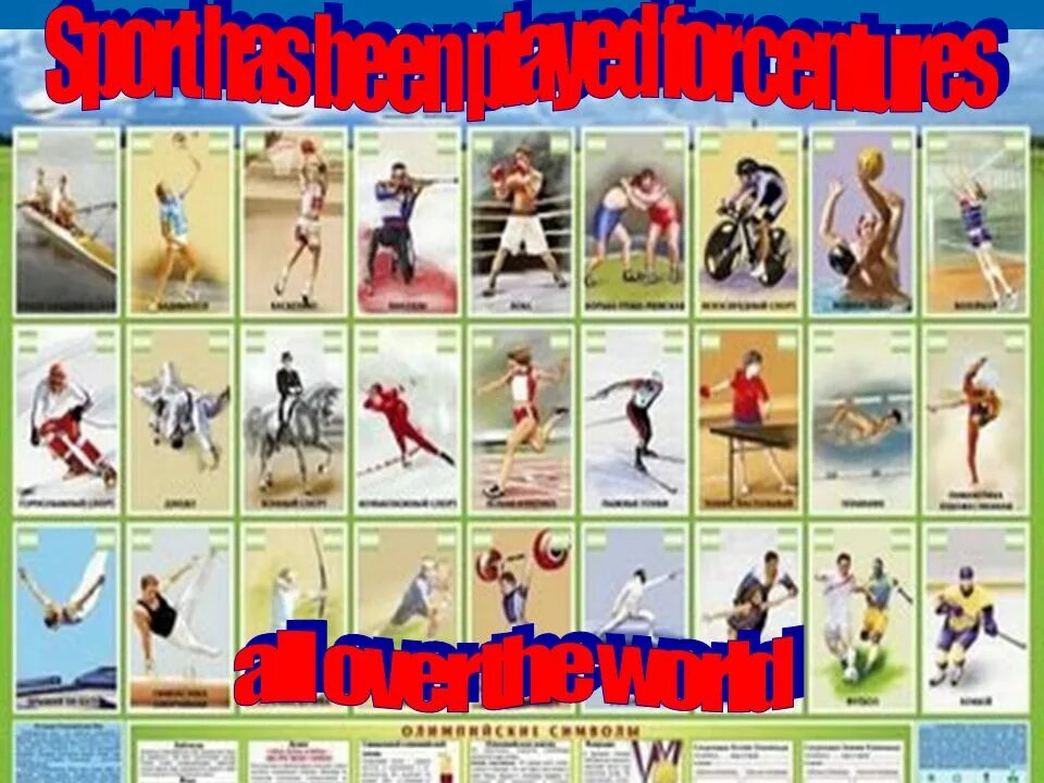 Various kinds of sport. Игровые виды спорта. Kinds of Sport. Kinds of Sports. Different kinds of Sport.