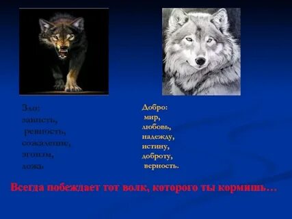 Завистливый злее волка голодного