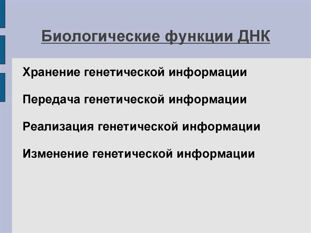 Генетик функции. Основные функции днк. биологические функции днк. биологическая роль днк. биолог роль днк.