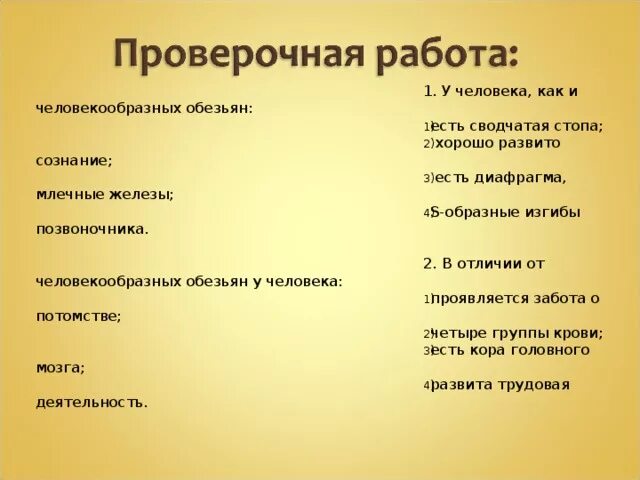 Человек в отличие от человекообразных обезьян имеет