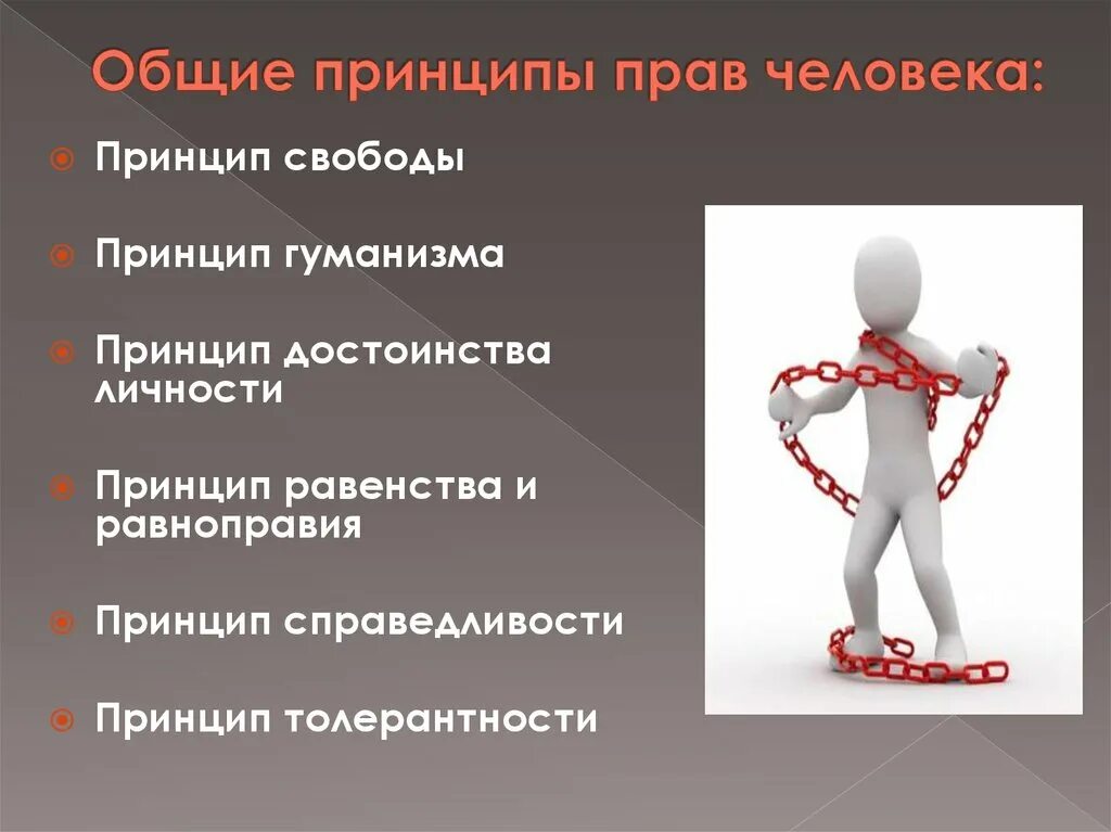 Принципы. Основные принципы человека. Принципы свободы человека. Принципы хорошего гражданина