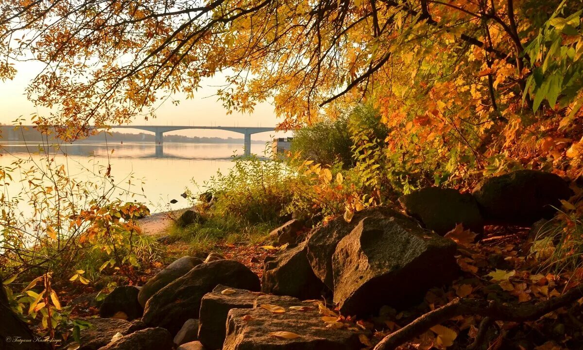 Утро октября картинки красивые. "Осенние утро на Яузе" июль 2022. Красивый Октябрьский пейзаж. Осенние пейзажи на Волге. Утро осенью.