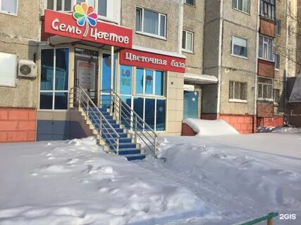 Семь цветов сургут
