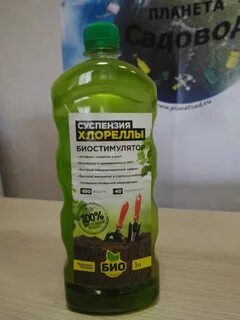 Хлорелла инструкция