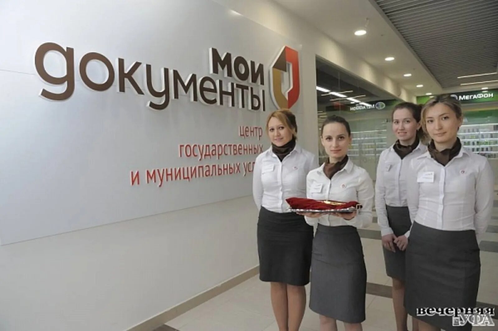 Мои документы курчатов