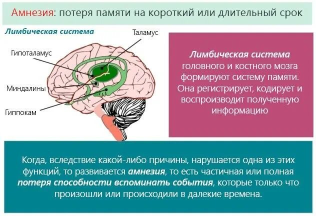 Лечение амнезии. Память в головном мозге. Потеря памяти. Потеря памяти что с мозгом. Причины полной потери памяти.