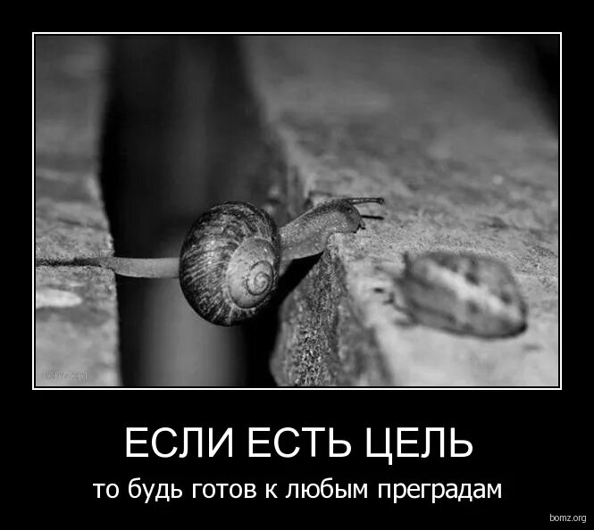 быть готовым к любой. быть готовым к любой. камень на дороге. человек должен быть счастливым. предназначение женщины.