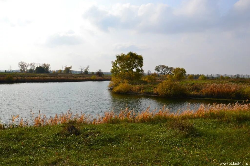 погода полевой липецкая область