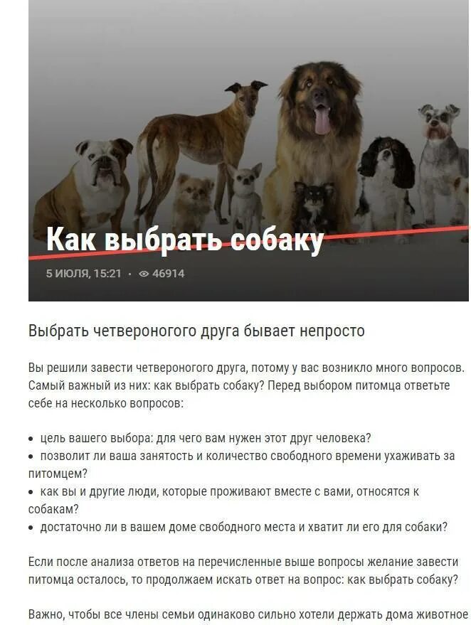 Как правильно подобрать собаку. Выбрать собаку. какую собаку выбрать. какую породу собак выбрать. как правильно выбрать собаку.