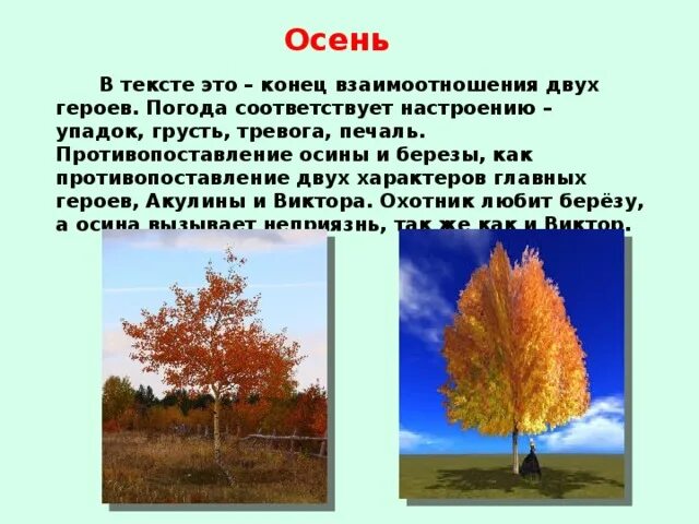 Тургенев береза. Свидание Тургенев осина и береза. Как описать осеннюю березу. Как можно описать осеннюю осину. Настроение соответствует погоде.