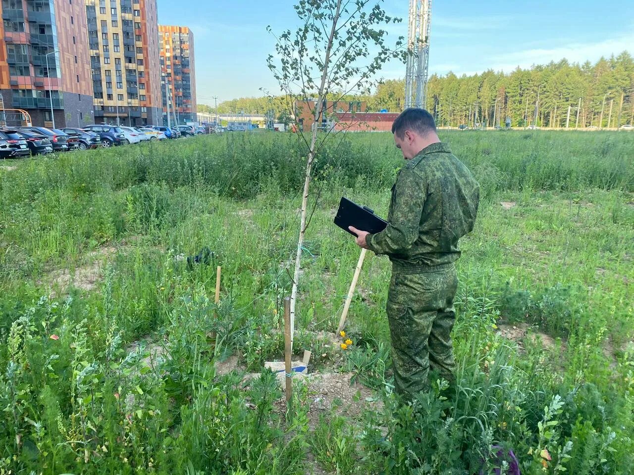 В новой москве тела младенцев. Откос на местности в городе во дворах. Десёновское поселение Москва. Фото могилы. Кладбище фото.