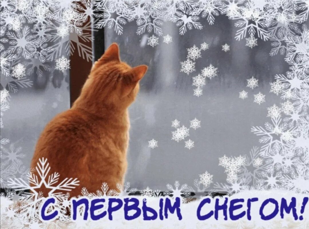 Снежок пришел. Первый снег. Открытки с первым снегом. Поздравление с первым снегом. Доброго утро с первым сненом.