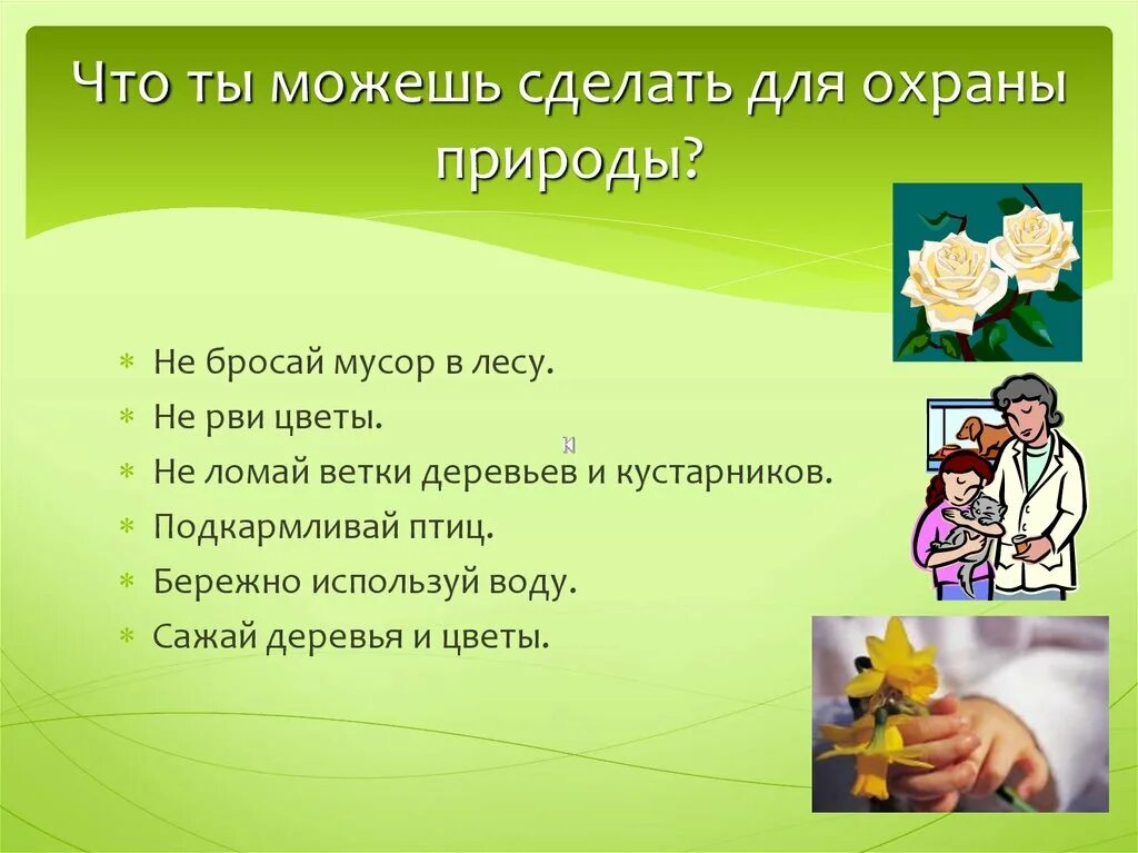 Что делать для охраны природы