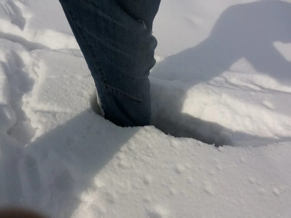 Снег по колено. Нога в снегу по колено. Снег до колен. Сугробы по колено