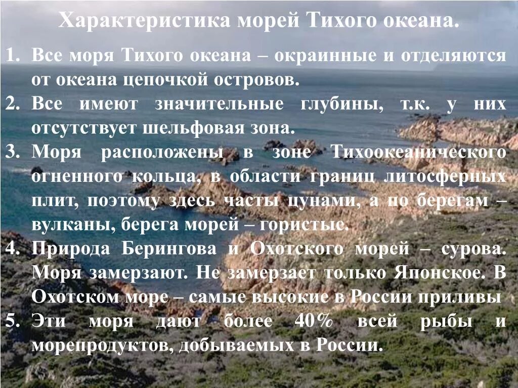 Особенности океанов россии. Моря Тихого океана РФ. Характеристика морей Тихого океана. Характеристика морей Тихого. Характеристикаморец Тихого океана.