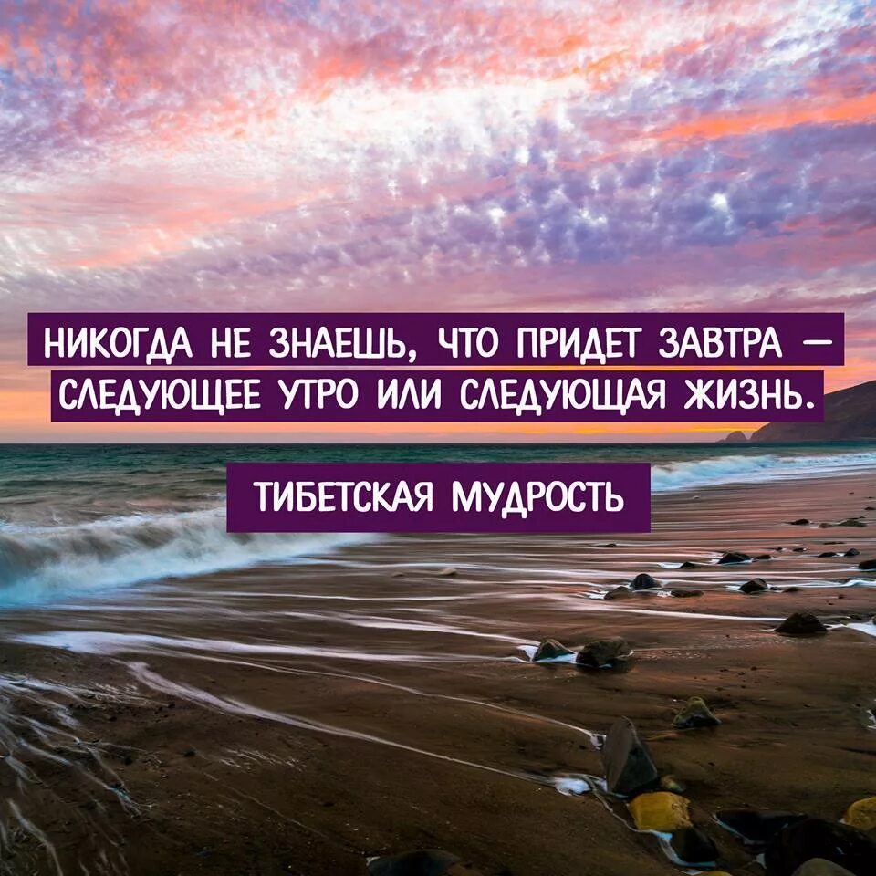 В новую жизнь в новую суть. Завтра новый день цитаты. завтра новая жизнь цитаты. никогда не знаешь что придет завтра следующее утро или новая жизнь. никогда не знаешь что ждет тебя завтра новое утро или новая жизнь.