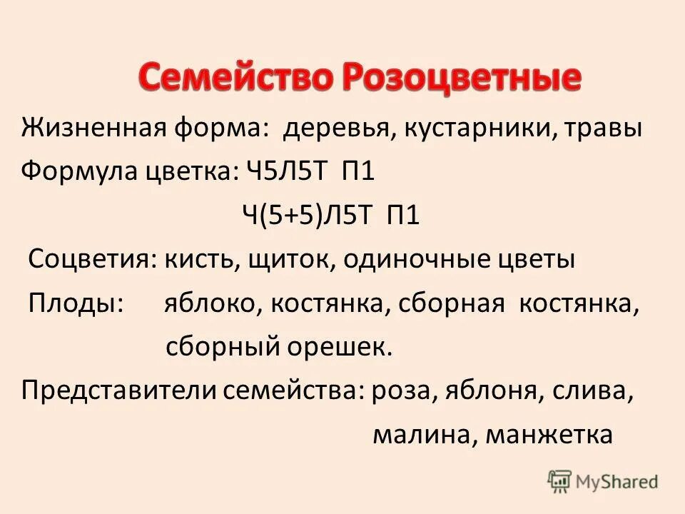 Формулу цветка ч5л5т5п1 имеют. Ч 5 Л 5 т5п1 формула цветка. Ч5 л5 т5 п1 формула цветка семейства. Формула цветка розоцветных ч5+5л5т много п много. Выпившая формула цветка ч5 л5 т бесконечность п1.