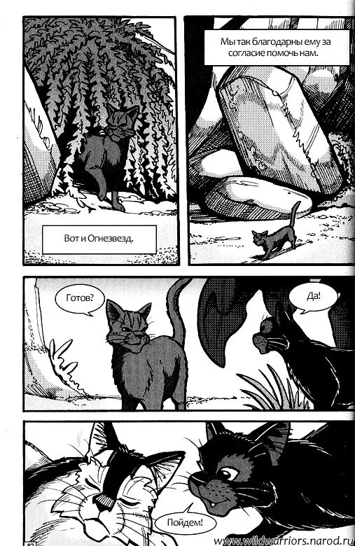 Коты воители манга сердце воителя. Коты воители манга. Коты воители манга стань диким. Коты воители стань диким комикс. Коты воители сердце воителя читать.