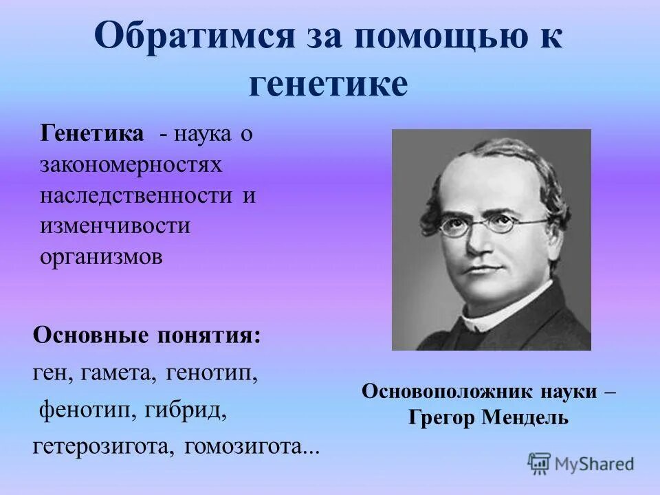 Мендель основоположник. Г мендель является основоположником. Австрийский биолог, основоположник генетики грегор мендель. Грегор мендель (1822—1884). Жизнь и деятельность грегора менделя.