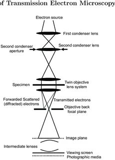Transmission microscopy