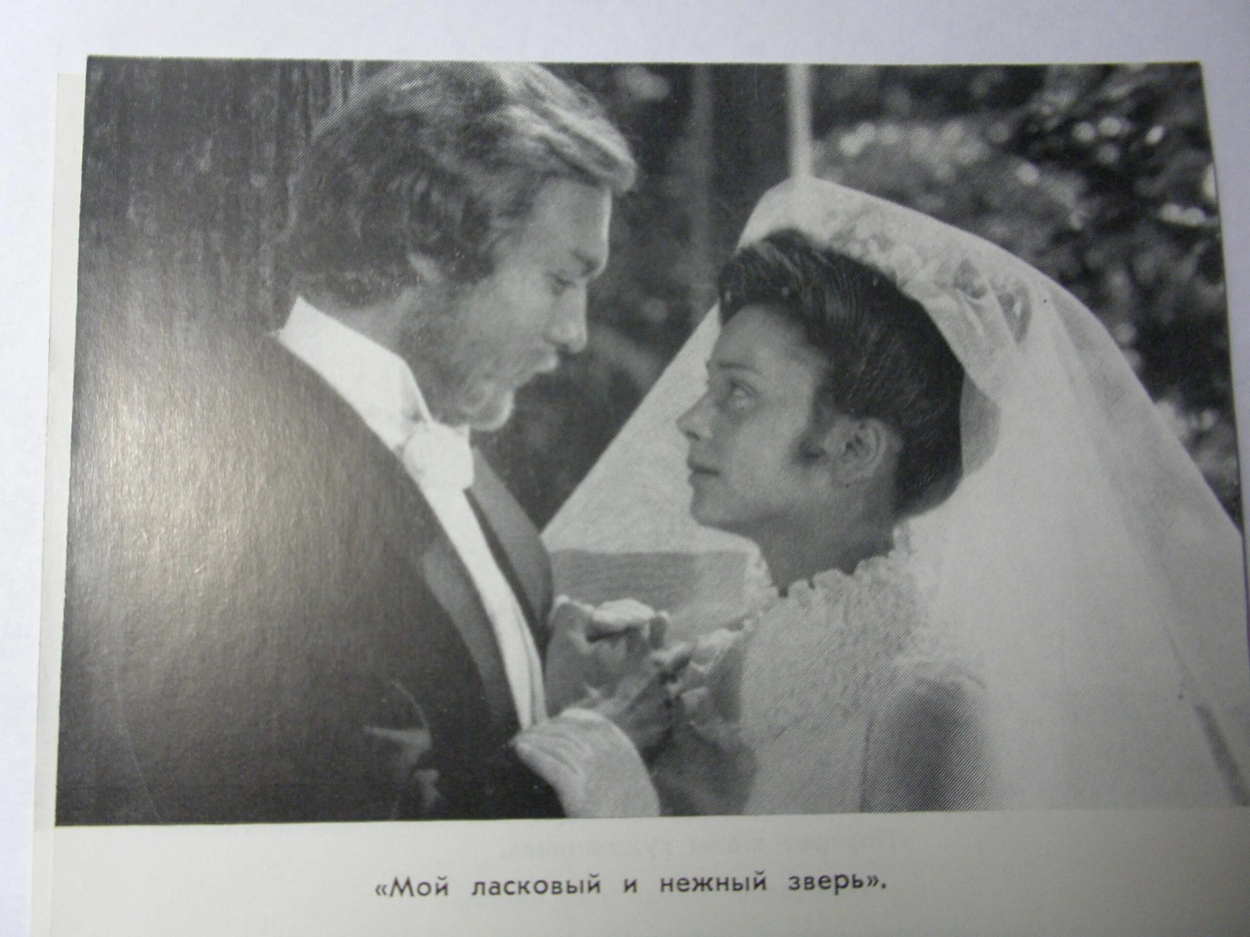Короткие любовные романы. Книга мой ласковый. Книга мой ласковый. Книга мой зверь безжалостный. Мой ласковый и нежный зверь янковский.
