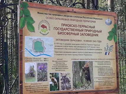 Приокско террасный заповедник находится в зоне