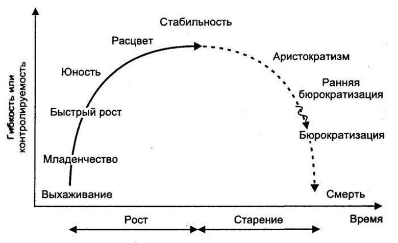 Политика жизненного цикла. Стадии жизненного цикла предприятия. 5 Этапов жизненного цикла организации. Этапы жизненного цикла организации теория организации. Этапы жизненного цикла организации менеджмент.