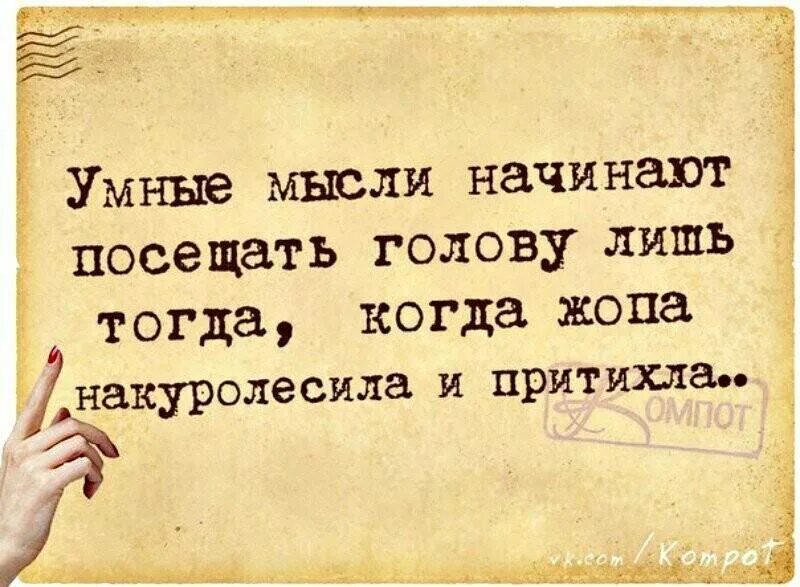 Вы прочитали лишь