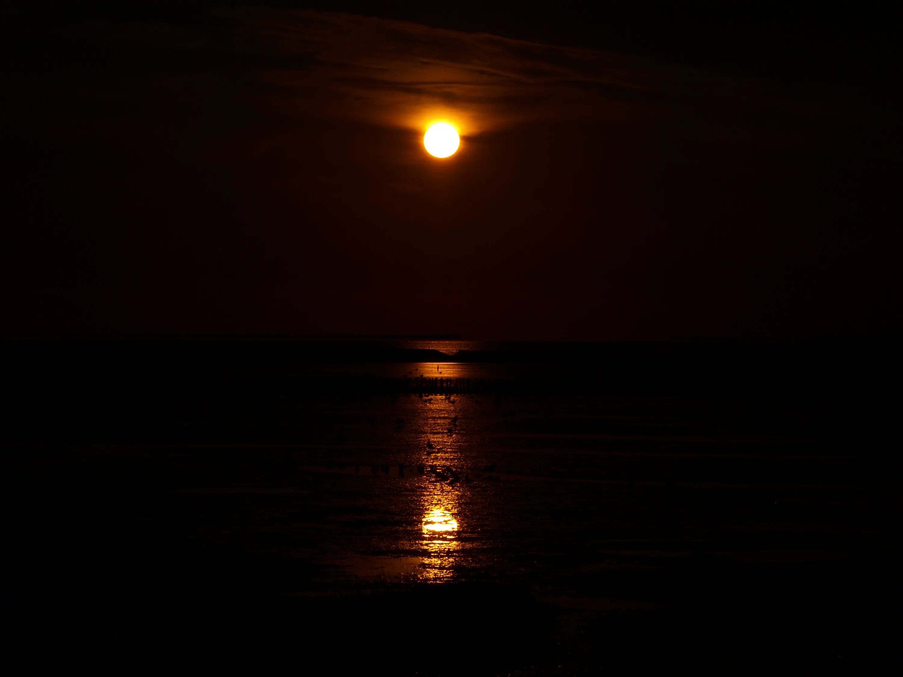 Солнце ночи. Ночное солнце. Море ночь солнце. Солнце ночью фото.