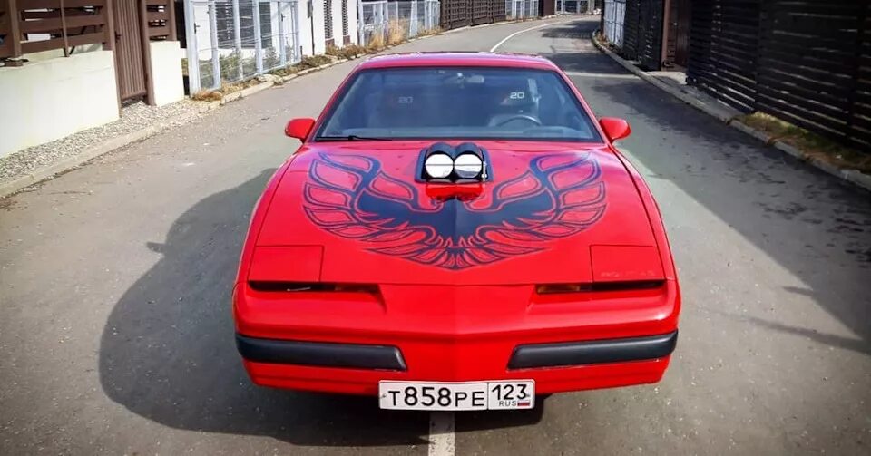 Pontiac Firebird капот. Понтиак с орлом на капоте. Наклейки на капот. Нагнетатель на капоте. Капоте цена спб