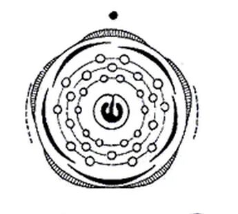 Рябина обыкновенная диаграмма цветка. Семейство розоцветные диаграмма цветка. Диаграмма цветка вишни. Диаграмма цветка вишни. Формула цветка семейства розоцветные.