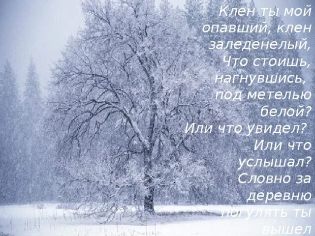 Иллюстрация к стихотворению есенина. Стих есенина метель. Плачет метель как цыганская скрипка есенин. Стихи есенина про зиму короткие. Стихи есенина метель.