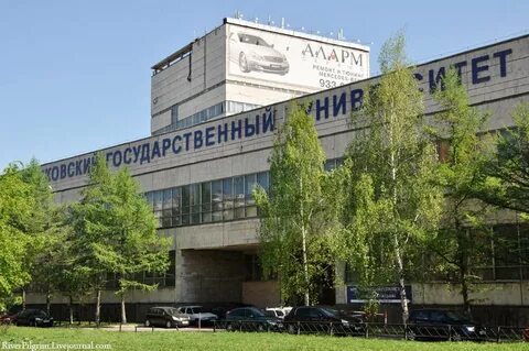 Нии ноя