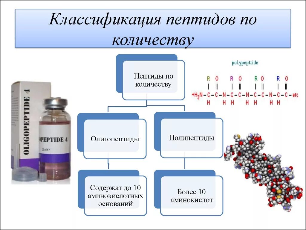 Полипептиды функции. Пептиды. Классификация пептидов. Пептиды классификация пептидов. Пептиды олигопептиды полипептиды.